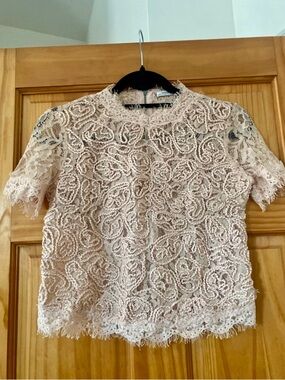 Zara Trafaluc Blush Pink Lace Top Textured Crochet Eyelash Trim Zip Back Boho S